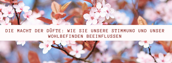 Die Macht der Düfte: Wie sie unsere Stimmung und unser Wohlbefinden beeinflussen